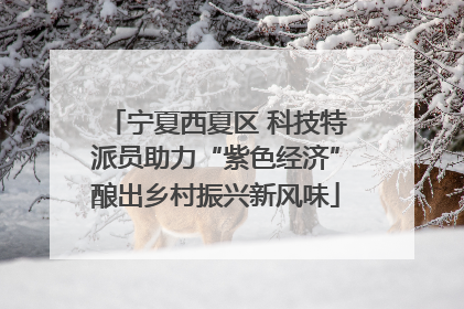 宁夏西夏区 科技特派员助力“紫色经济”酿出乡村振兴新风味