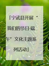 宁武县开展“我们的节日·端午”文化主题系列活动