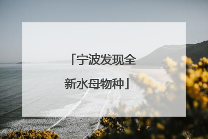 宁波发现全新水母物种