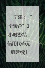 宁津：“个转企”1小时办结，信用代码无缝延续