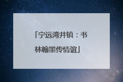 宁远湾井镇：书林翰墨传情谊