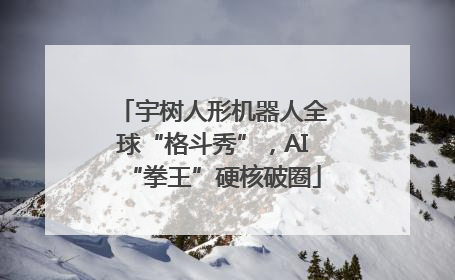 宇树人形机器人全球“格斗秀”，AI“拳王”硬核破圈