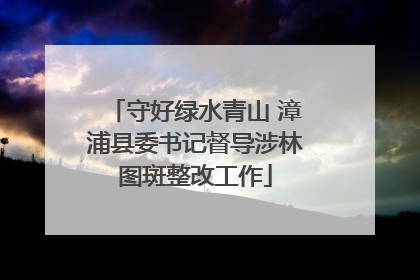 守好绿水青山 漳浦县委书记督导涉林图斑整改工作