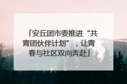 安丘团市委推进“共青团伙伴计划”，让青春与社区双向奔赴