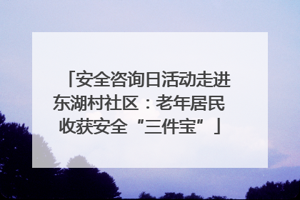 安全咨询日活动走进东湖村社区：老年居民收获安全“三件宝”