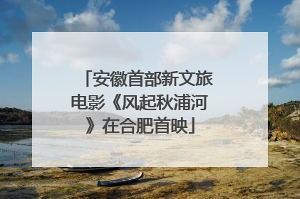 安徽首部新文旅电影《风起秋浦河》在合肥首映