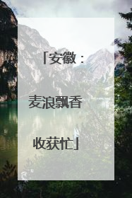 安徽：麦浪飘香收获忙
