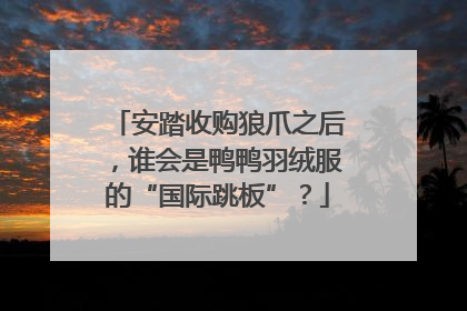 安踏收购狼爪之后，谁会是鸭鸭羽绒服的“国际跳板”？