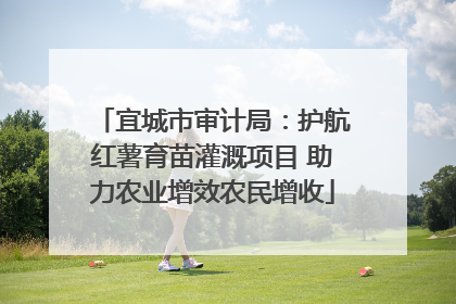 宜城市审计局：护航红薯育苗灌溉项目 助力农业增效农民增收