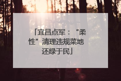 宜昌点军：“柔性”清理违规菜地 还绿于民