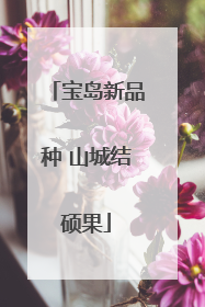 宝岛新品种 山城结硕果