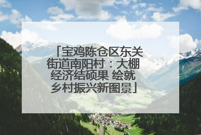 宝鸡陈仓区东关街道南阳村：大棚经济结硕果 绘就乡村振兴新图景
