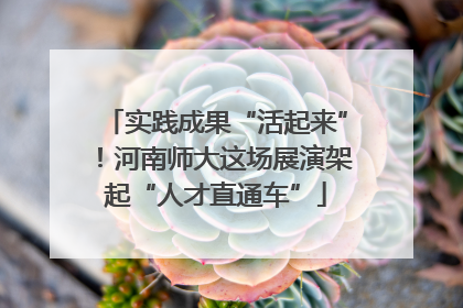 实践成果“活起来”！河南师大这场展演架起“人才直通车”