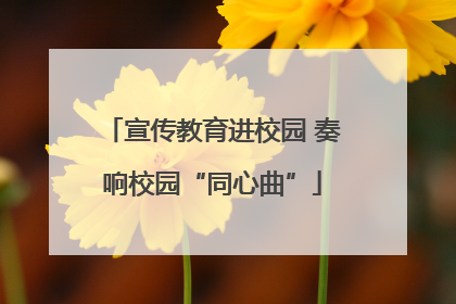 宣传教育进校园 奏响校园“同心曲”