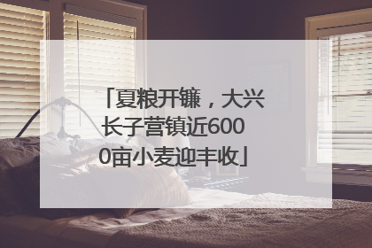 夏粮开镰，大兴长子营镇近6000亩小麦迎丰收
