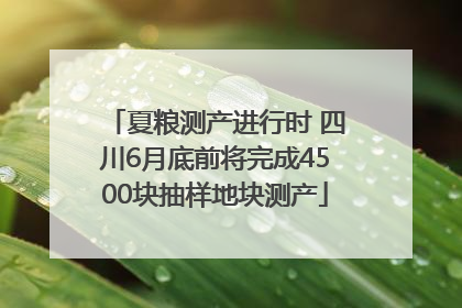夏粮测产进行时 四川6月底前将完成4500块抽样地块测产