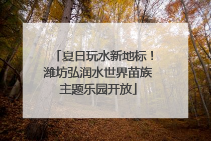 夏日玩水新地标！潍坊弘润水世界苗族主题乐园开放