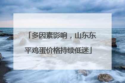 多因素影响，山东东平鸡蛋价格持续低迷
