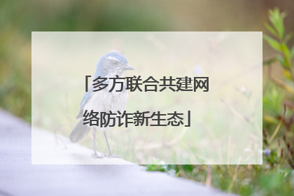 多方联合共建网络防诈新生态