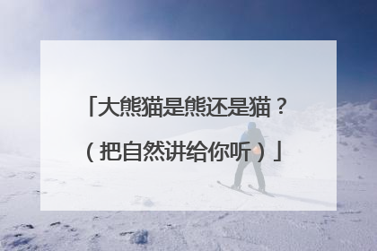 大熊猫是熊还是猫？（把自然讲给你听）