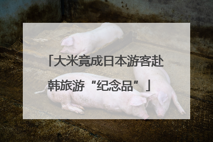 大米竟成日本游客赴韩旅游“纪念品”