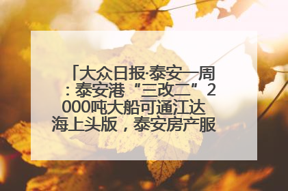 大众日报·泰安一周：泰安港“三改二”2000吨大船可通江达海上头版，泰安房产服务改革经验全省推广