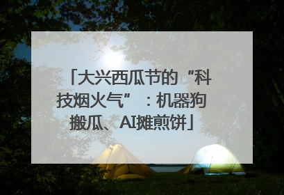 大兴西瓜节的“科技烟火气”：机器狗搬瓜、AI摊煎饼