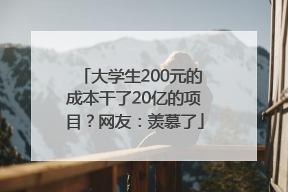 大学生200元的成本干了20亿的项目？网友：羡慕了