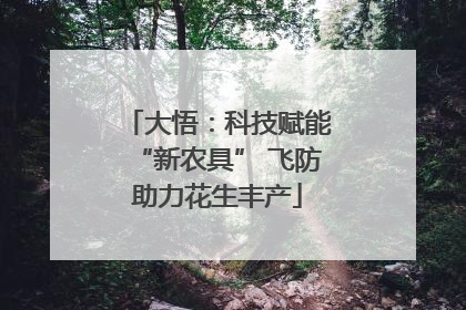 大悟：科技赋能“新农具” 飞防助力花生丰产