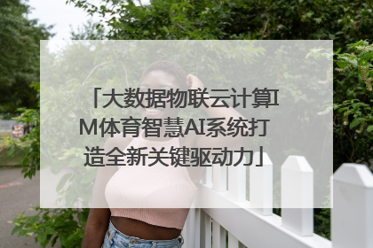 大数据物联云计算IM体育智慧AI系统打造全新关键驱动力
