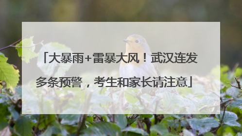 大暴雨+雷暴大风！武汉连发多条预警，考生和家长请注意