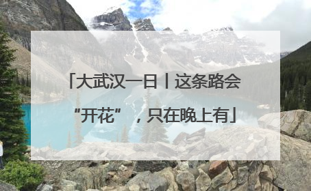 大武汉一日丨这条路会“开花”，只在晚上有