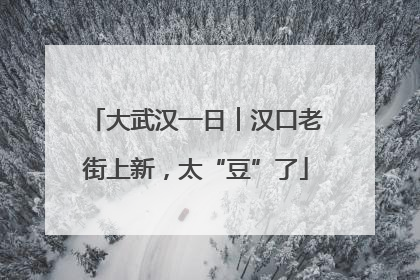 大武汉一日︱汉口老街上新，太“豆”了