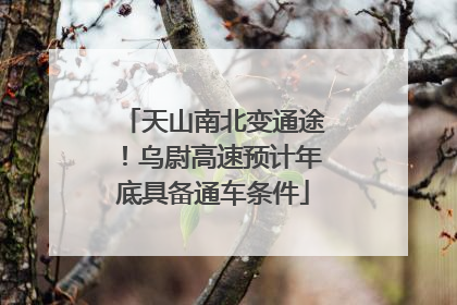 天山南北变通途！乌尉高速预计年底具备通车条件