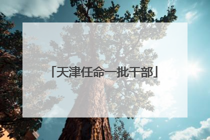 天津任命一批干部