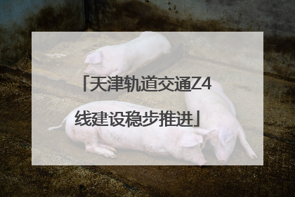 天津轨道交通Z4线建设稳步推进