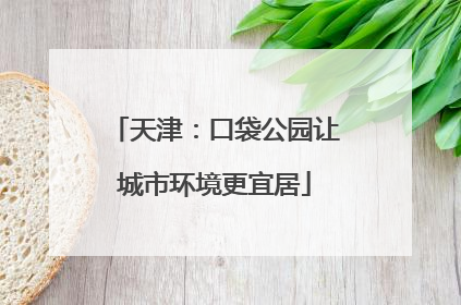 天津：口袋公园让城市环境更宜居