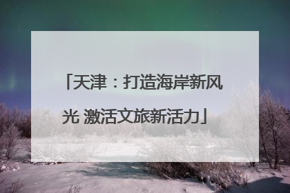 天津：打造海岸新风光 激活文旅新活力