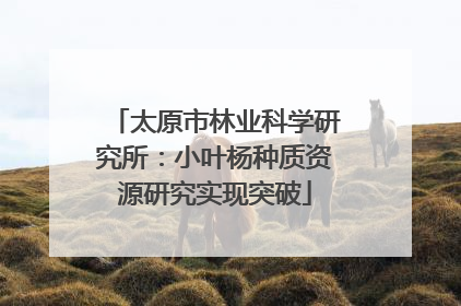 太原市林业科学研究所：小叶杨种质资源研究实现突破