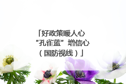 好政策暖人心 “孔雀蓝”增信心（国防视线）