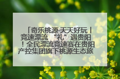 奇乐桃源·天天好玩丨竞速漂流 “礼”遇贵阳！全民漂流竞速赛在贵阳产控集团旗下桃源生态旅游度假区举行