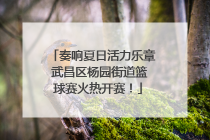 奏响夏日活力乐章 武昌区杨园街道篮球赛火热开赛！