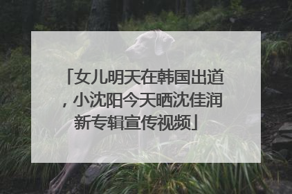 女儿明天在韩国出道，小沈阳今天晒沈佳润新专辑宣传视频