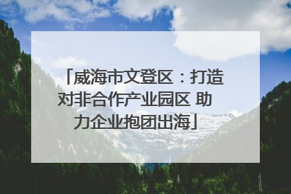 威海市文登区：打造对非合作产业园区 助力企业抱团出海