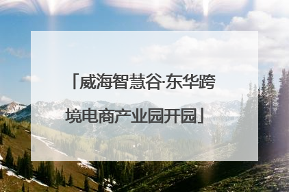 威海智慧谷·东华跨境电商产业园开园