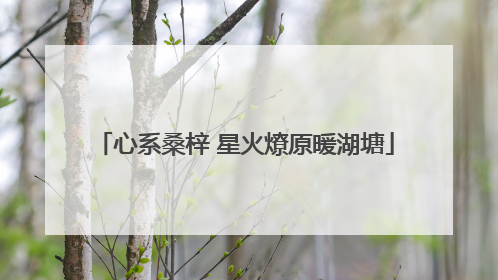 心系桑梓 星火燎原暖湖塘