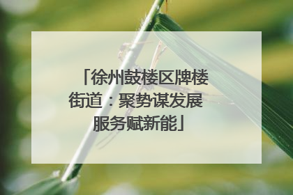 徐州鼓楼区牌楼街道：聚势谋发展 服务赋新能