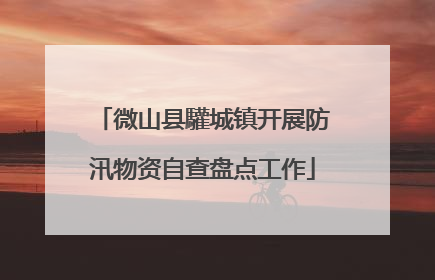 微山县驩城镇开展防汛物资自查盘点工作
