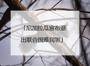 尼加拉瓜宣布退出联合国难民署