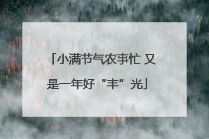 小满节气农事忙 又是一年好“丰”光